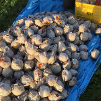 安心してください!!